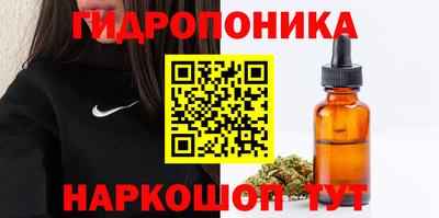 индика Ликино-Дулёво
