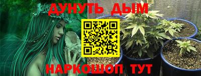 крисы Ливны