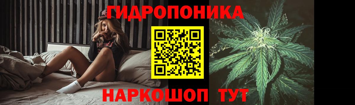 Шишки марихуана SATIVA & INDICA Заволжье